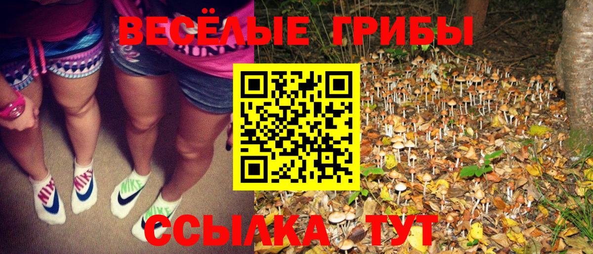 Галлюциногенные грибы Magic Shrooms  Вход с VPN  Лесной 